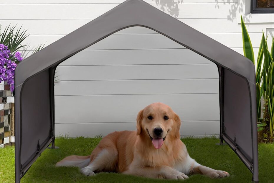 Ultimate Shelter: The Extra Large Waterproof Dog Tent Review