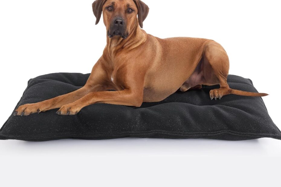 Unbreakable Comfort: MABOZOO's Indestructible Dog Bed for Aggressive Chewers