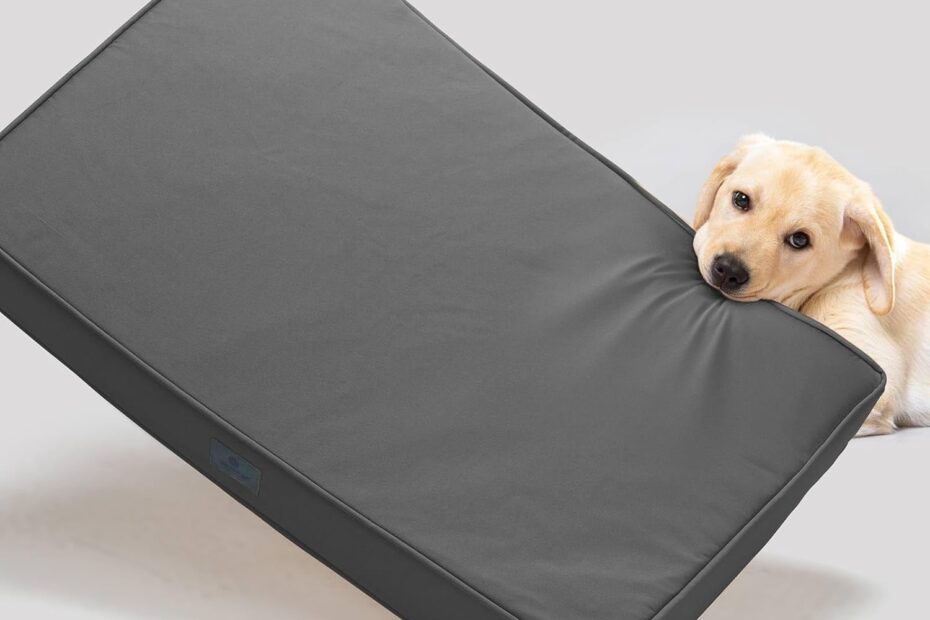 Unbreakable Comfort: The Veehoo Chew Proof Dog Bed Review