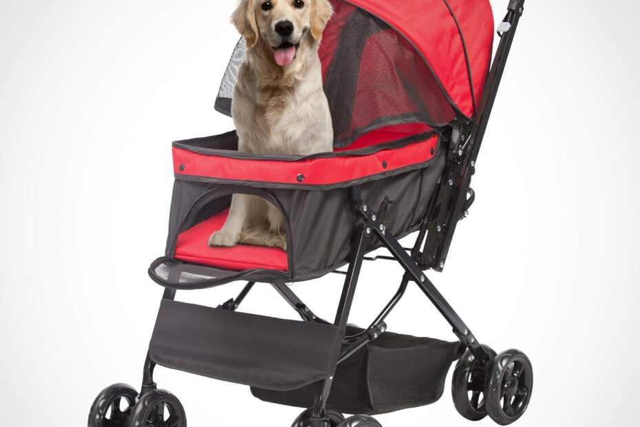 Unleash Adventure: Review of the Elite Jogger Folding Dog Stroller!