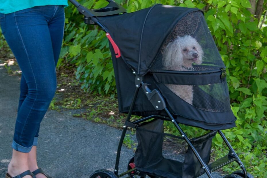 Unleash Adventure: Review of the Pet Gear No-Zip Happy Trails Lite Stroller