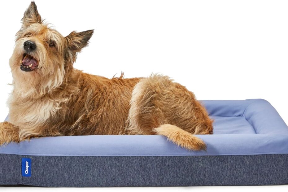 Unleash Comfort: A Review of the Casper Dog Bed in Small Blue