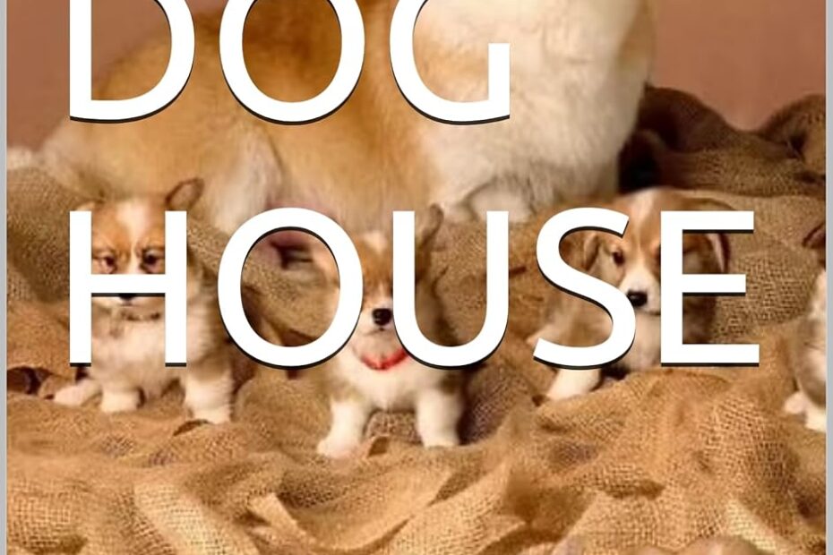 Unleash Comfort: A Review of THE DOG HOUSE