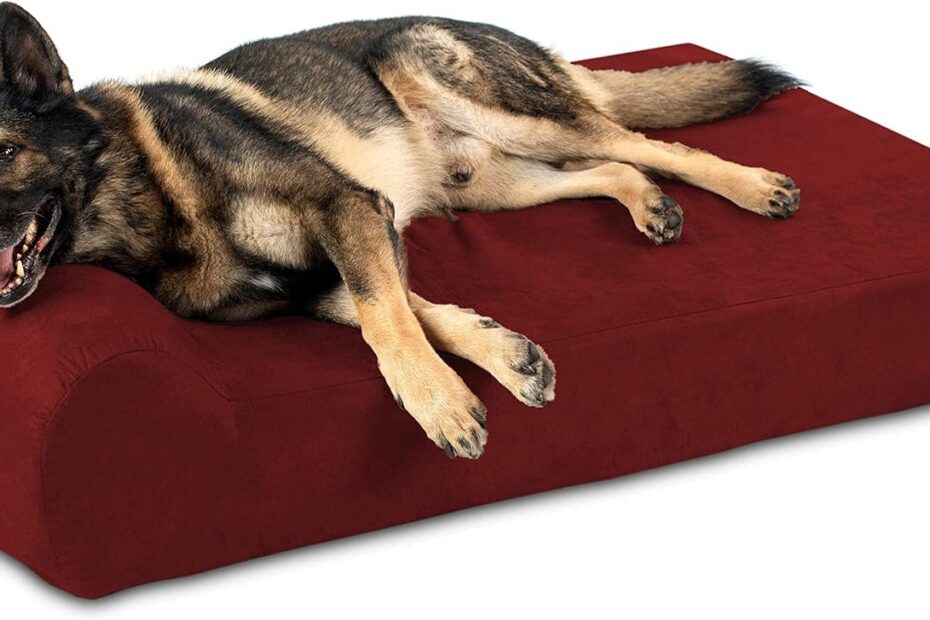 Unleash Comfort: Big Barker 7" Orthopedic Dog Bed Review for Large Breeds