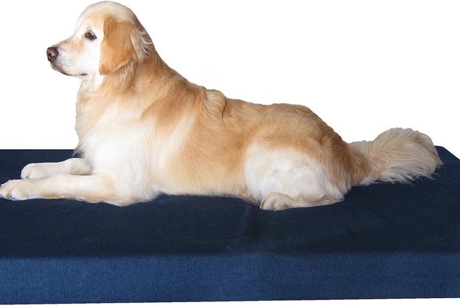 Unleash Comfort: Review of the Dogbed4less Luxury XXL Orthopedic Memory Foam Bed for Extra Large Dogs
