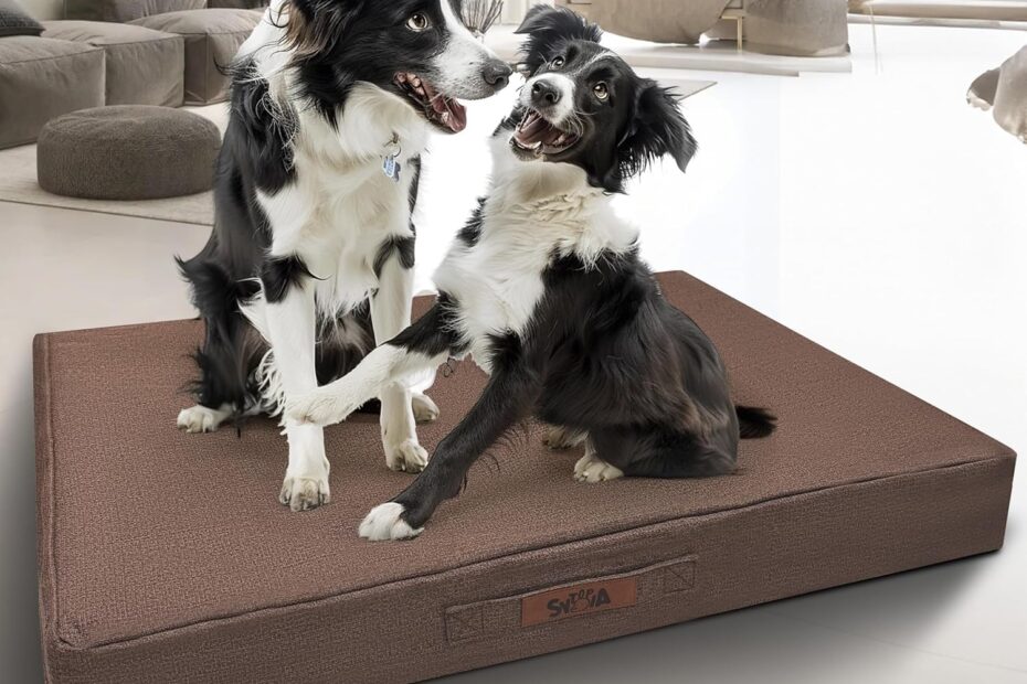 Unleash Comfort: Review of the Sytopia 36-Inch Chew-Resistant Dog Bed