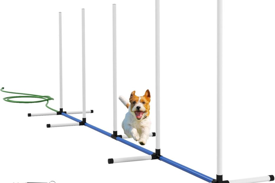 Unleash Fun: Discover the PawHut 2 Piece Dog Agility Training Set!