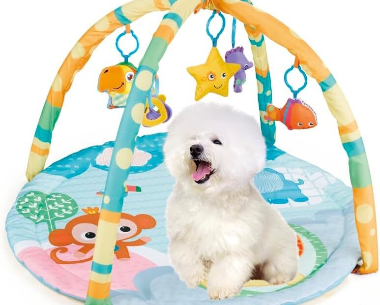 Unleash Fun: Review of the Puppy Play Gym for Dogs and Cats!