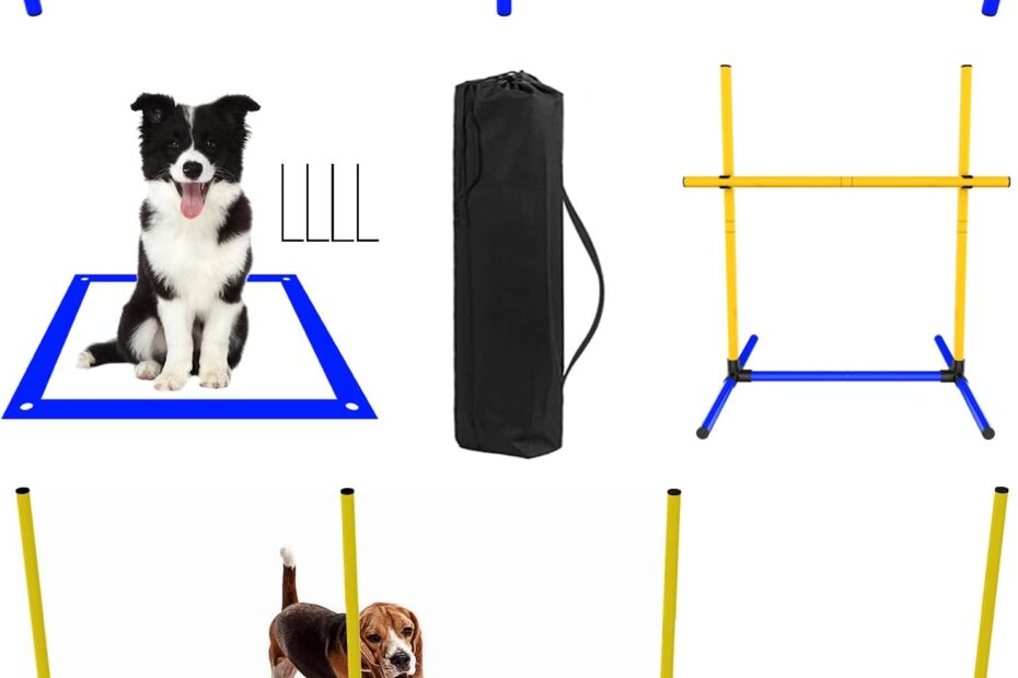 Unleash Fun: Review of the Ultimate Dog Agility Course Backyard Set