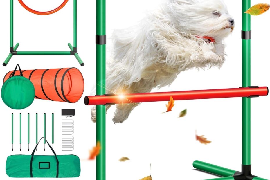 Unleash Fun: The Ultimate Dog Training Kit for Outdoor Games & Skills!