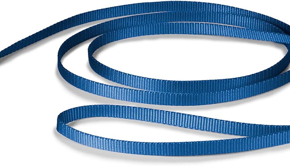 Unleash Quality: PetSafe Nylon Dog Leash Review for Every Size