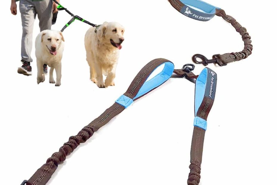 Unleash the Adventure: Review of the Hands-Free Leash for Two Large Dogs!