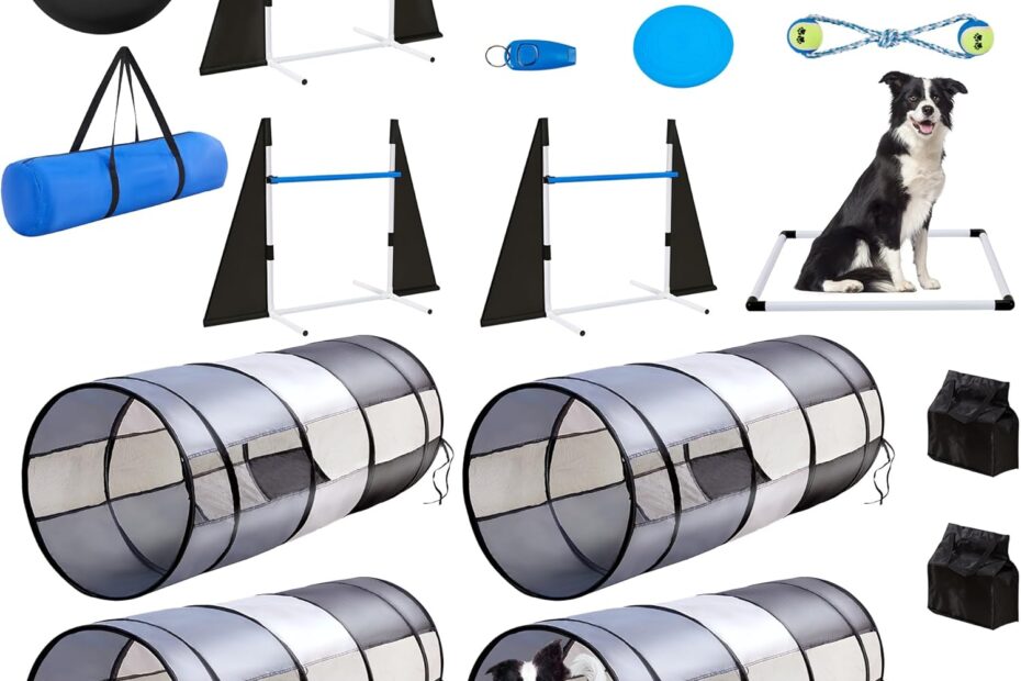 Unleash the Fun: Top Review of Dog Agility Training Equipment for Backyard Play!