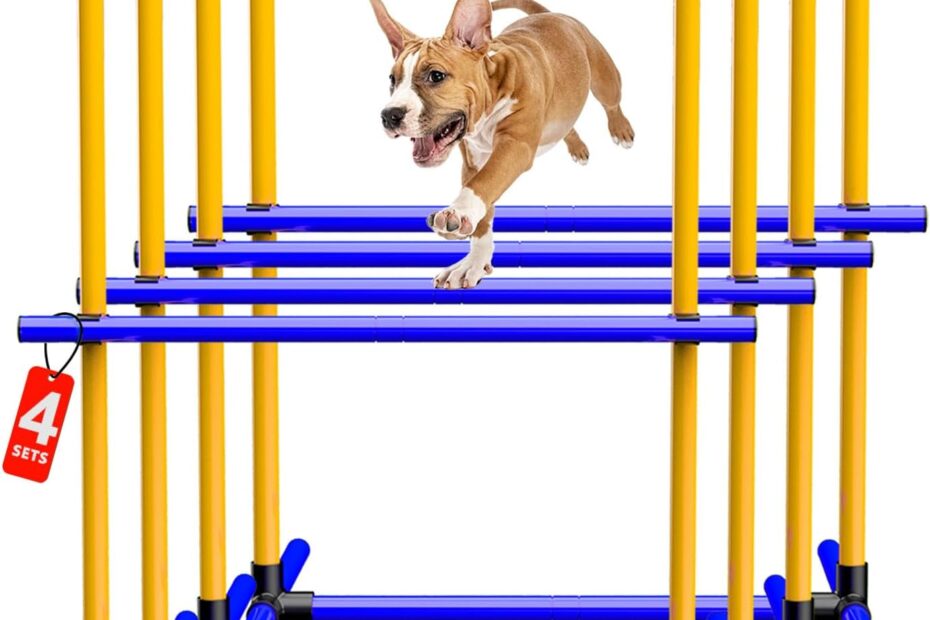 Unleash Your Dog's Potential: Review of the 4-Piece Agility Training Equipment Set!