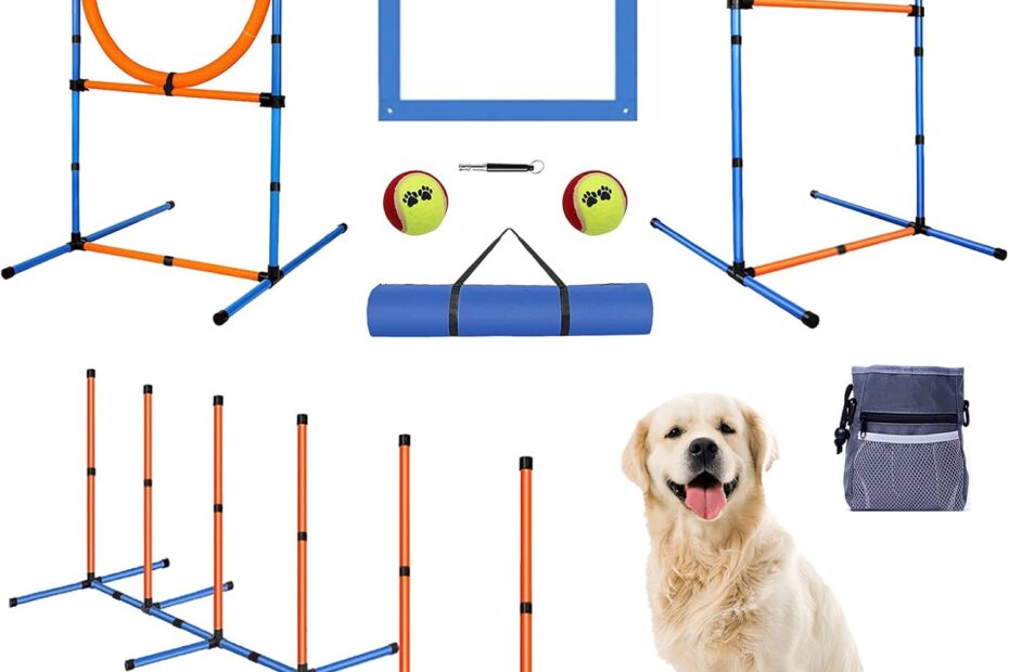 Unleash Your Dog's Potential: The Ultimate Agility Training Set Review