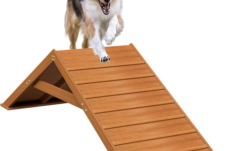 Unleash Your Dog's Potential: The Ultimate Backyard Agility Course Review