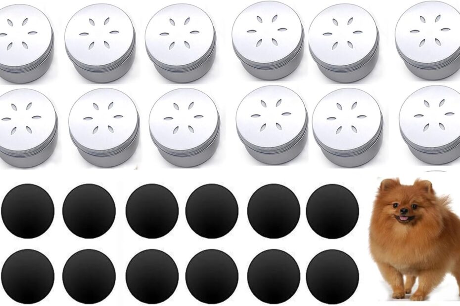 Unlock Your Dog's Potential: Review of the 12 Pack Dog Nose Metal Training Canisters
