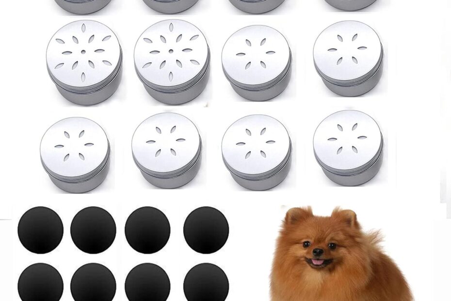 Unlock Your Dog's Potential: Reviews of the Magnetic Dog Scent Training Tins!