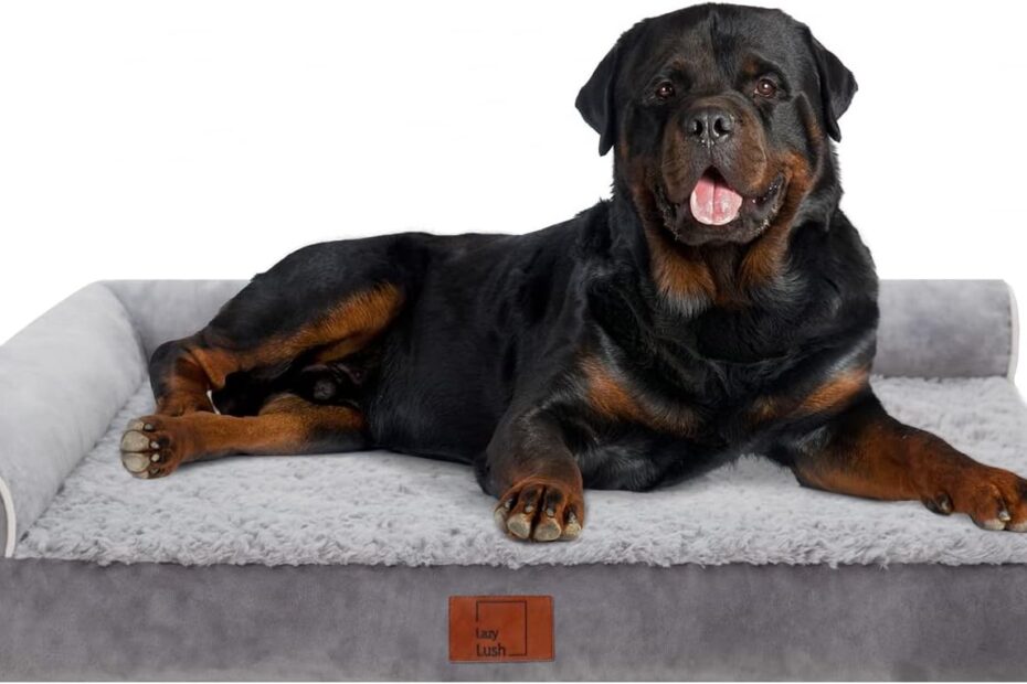 Unmatched Comfort: Review of the Bolster Orthopedic Dog Bed for Extra Large Pups