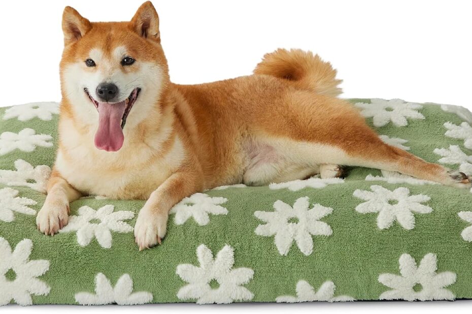 Unwind in Comfort: Lesure Large Shredded Foam Dog Bed Review