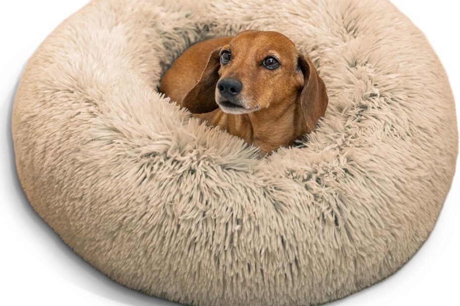 Unwind Your Pet: Review of the Calming Donut Bed by Best Friends by Sheri