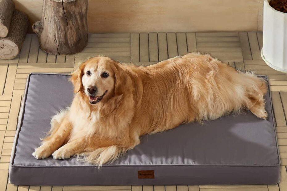 Upgrade Your Pup's Comfort: BFPETHOME Waterproof Orthopedic Dog Bed Review