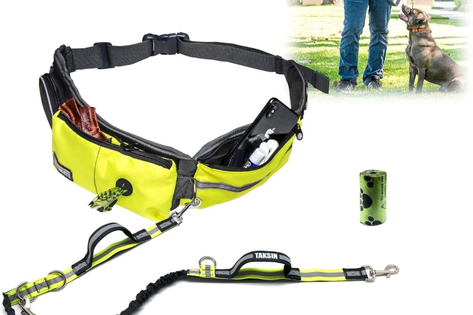 Walk Two Dogs with Ease: TAKSIN's Ultimate Hands-Free Double Leash System Review