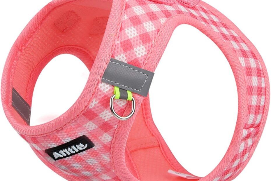 Walk with Style and Comfort: Review of the AIITLE Small Dog Harness and Leash Set