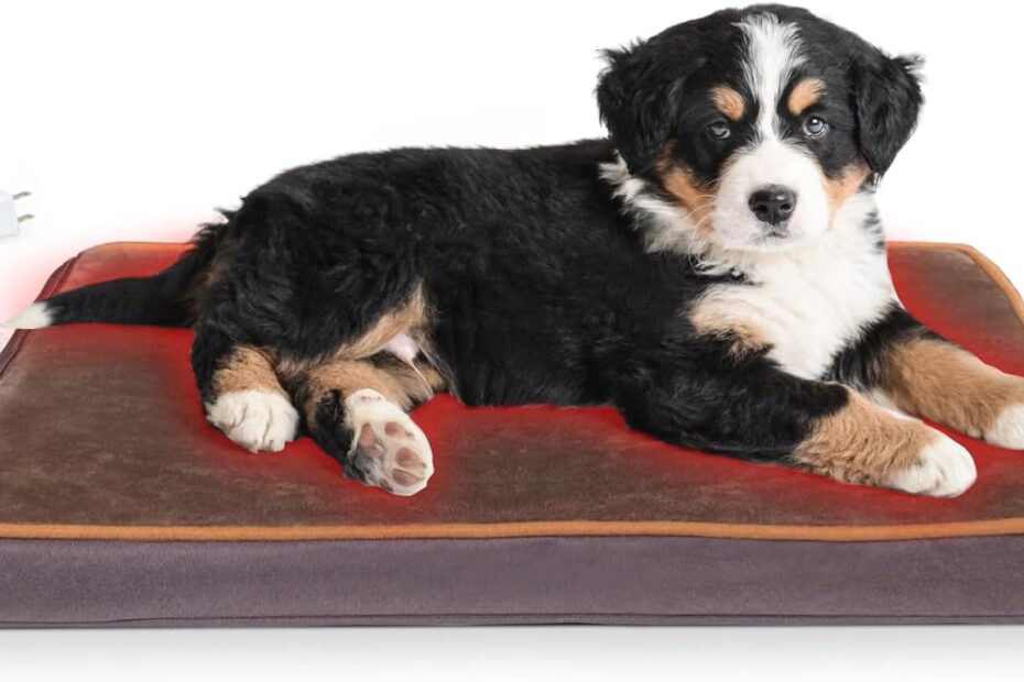 Warm & Cozy: The NAMOTEK Heated Pet Bed Review for Winter Comfort