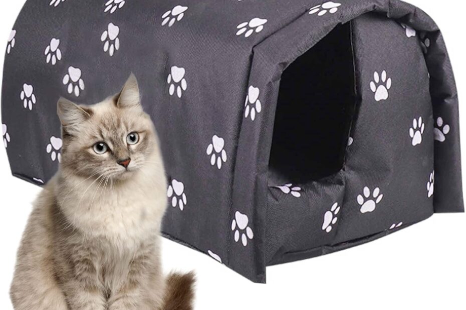 Winter-Ready Comfort: Review of the Fhiny Stray Cats Shelter