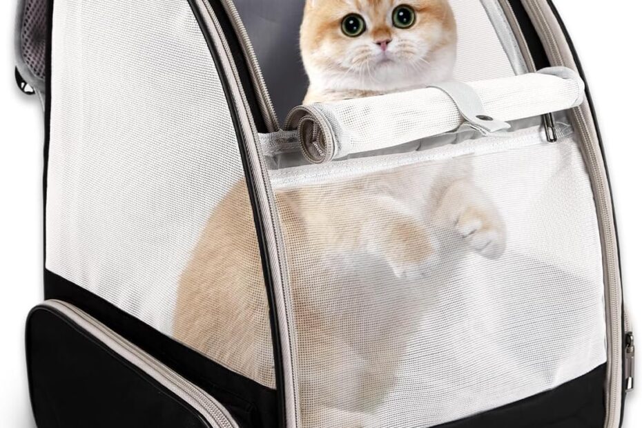 Adventure Awaits: The Ultimate Cat Backpack Carrier for Travel Enthusiasts