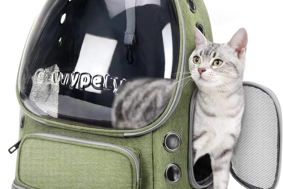 Adventure Awaits: The Ultimate Cat Backpack Carrier for Travel Enthusiasts