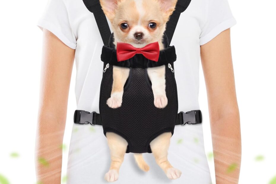 Adventure Awaits: The Ultimate Hands-Free Pet Carrier for Small Dogs and Rabbits!