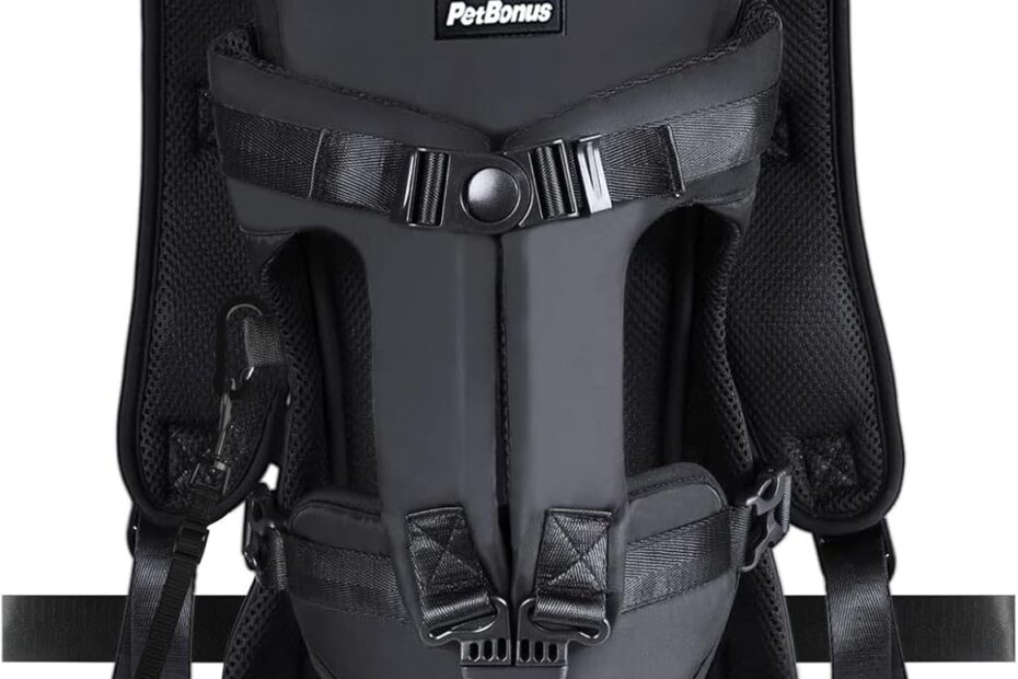 Adventure Awaits: The Ultimate PetBonus Dog Backpack Carrier Review!