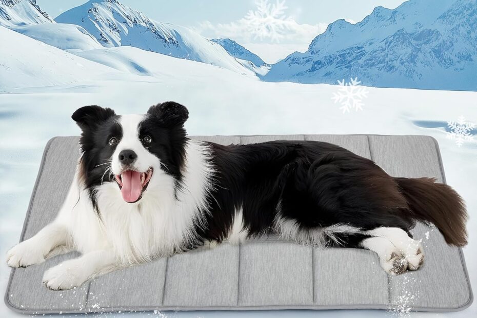 Beat the Heat: Chicute Dog Cooling Mat Review for Large Breeds