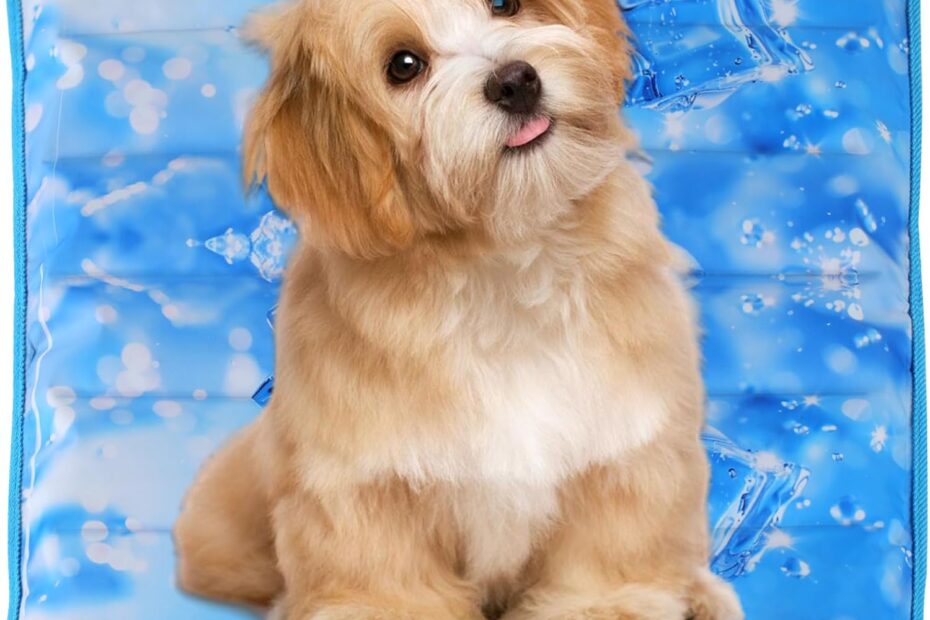 Beat the Heat: Review of the Cool Pet Pad for All Pets!
