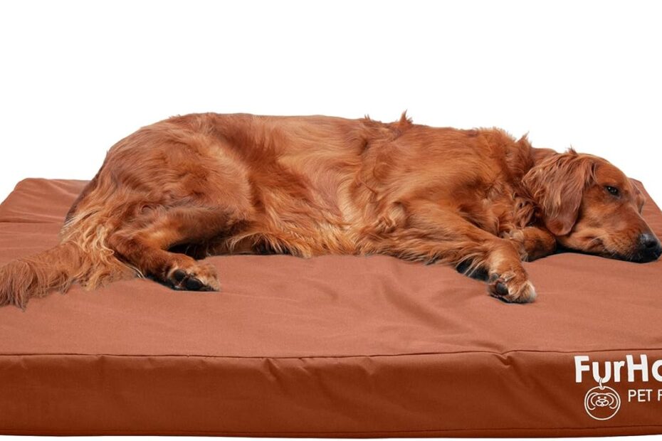 Beat the Heat: The Ultimate Furhaven Cooling Gel Dog Bed Review