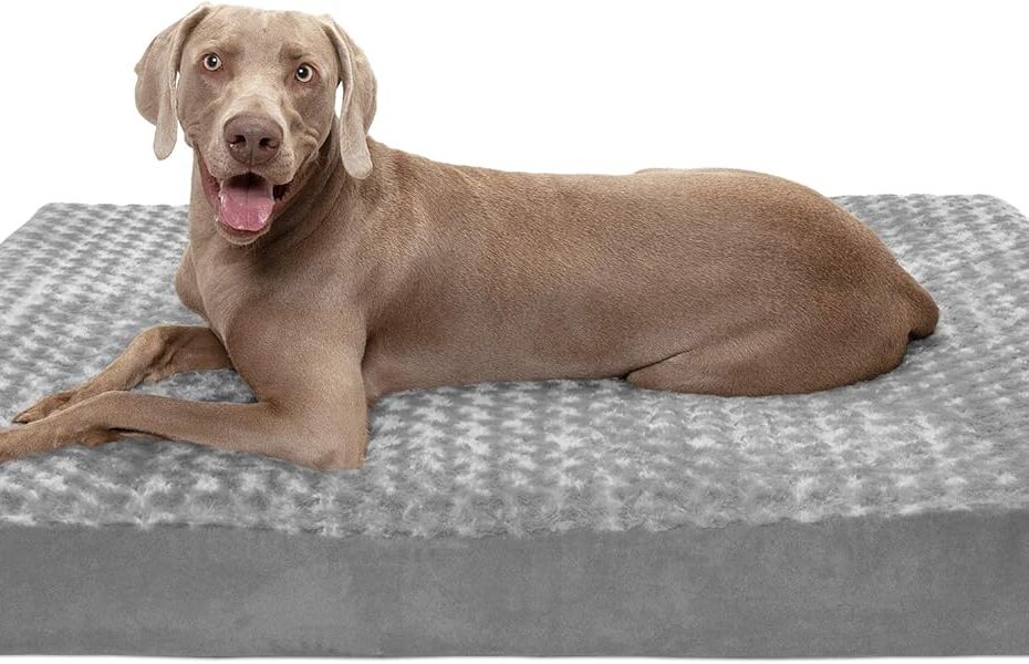 Beat the Heat: The Ultimate Review of the Furhaven Cooling Gel Dog Bed for Large Dogs!