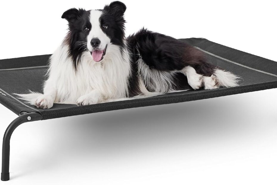 Chill in Comfort: Bedsure Elevated Dog Bed Review for Happier Pups