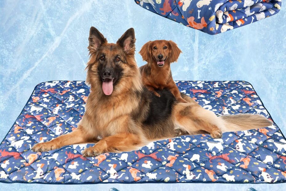 Chill Out: The Ultimate Review of the Wegreeco Pet Dog Cooling Mat