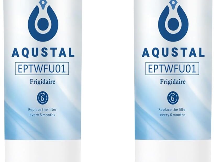 Clean Drinking Water Made Easy: Reviews of Replacement Refrigerator Water Filters