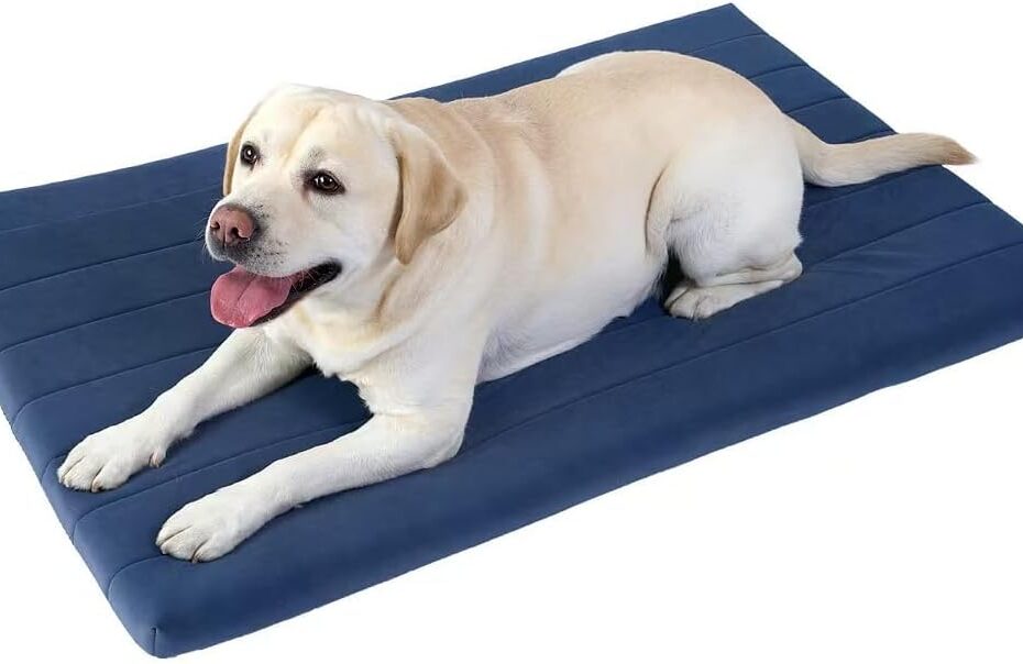 Comfort and Support: The Ultimate BALANCE Orthopedic Dog Crate Bed Review