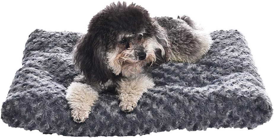 Comfort Meets Convenience: A Review of the Amazon Basics Cat and Dog Bed