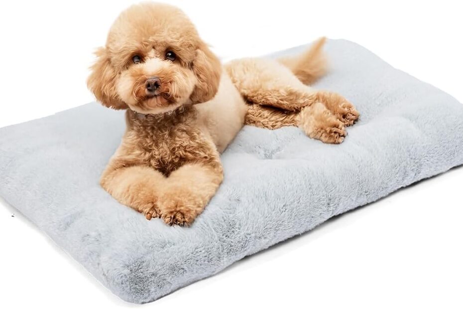 Comfy and Convenient: A Review of Amazon Basics Dog Bed for Small Dogs