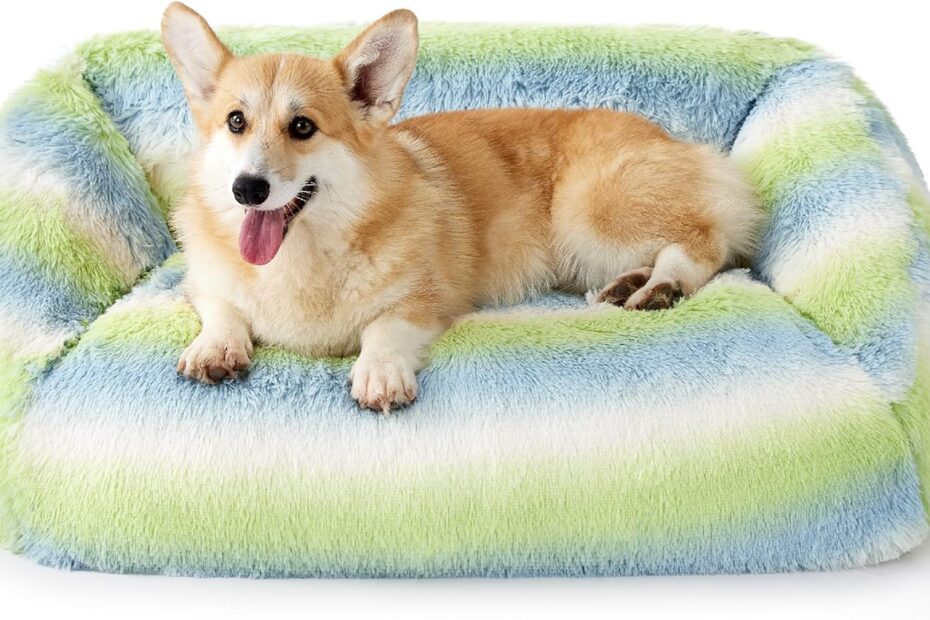 Cozy Comfort: A Review of the Lesure Medium Dog Bed for Your Furry Friend