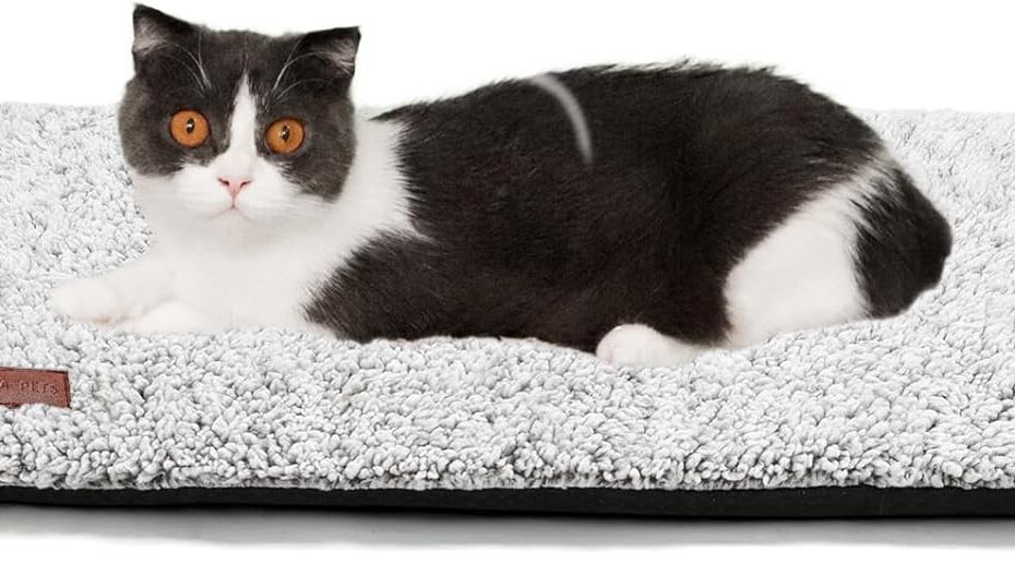 Cozy Comfort: A Review of the Self Warming Cat Bed for Happy Pets