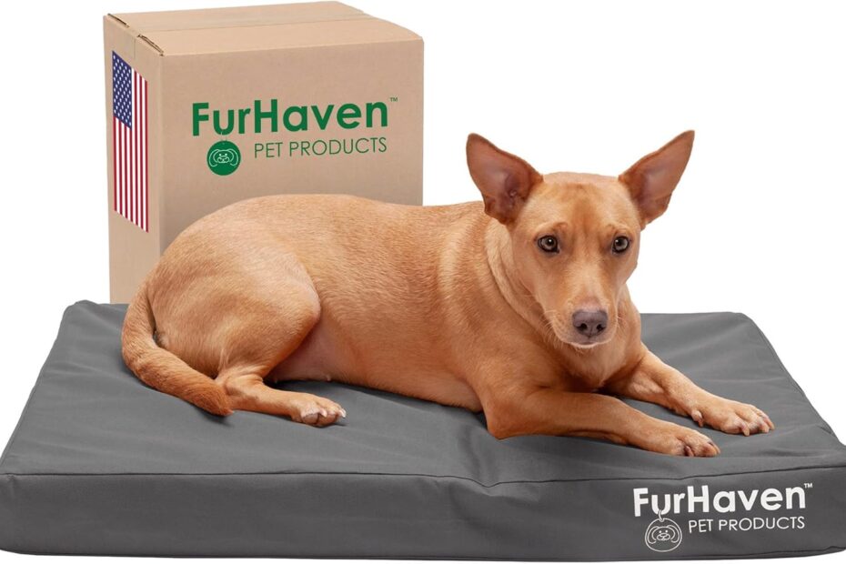 Cozy Comfort: Furhaven Water-Resistant Orthopedic Dog Bed Review for Small Dogs