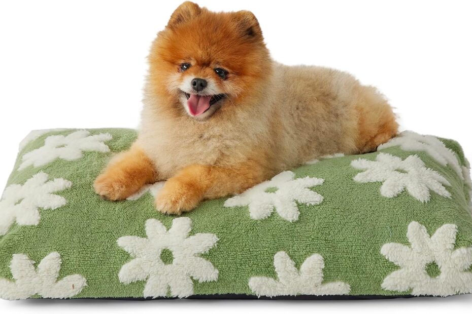 Cozy Comfort: Lesure Small Dog Bed Review & Recommendations