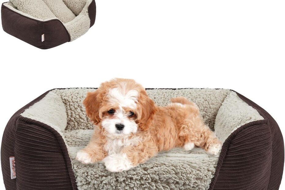 Cozy Comfort: Miguel Washable Dog Bed Review for Small Paws