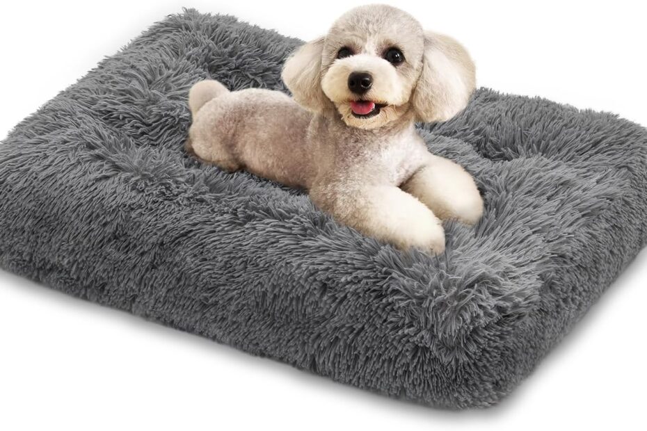 Cozy Comfort: MoNiBloom Plush Dog Bed Review for Small Pets